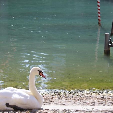 Villa Forte Salvi - Rooms Peschiera del Garda Dış mekan fotoğraf